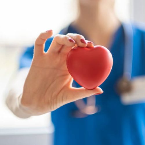 Female doctor is holding a heart in the hands. Heart is a life!